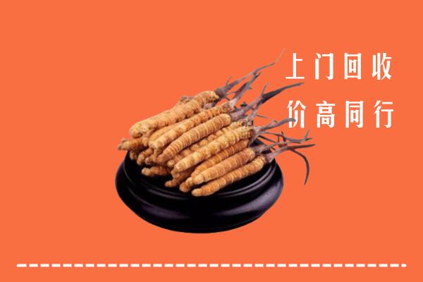 高价求购：临西县回收散虫草