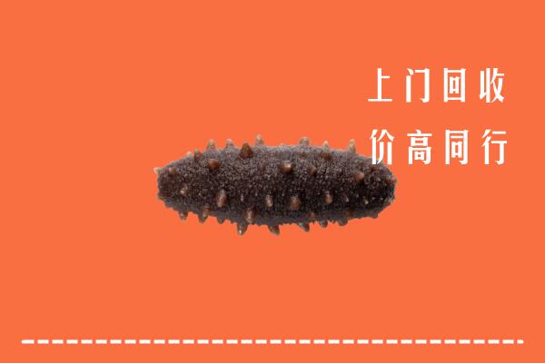 高价求购：临西县回收海参