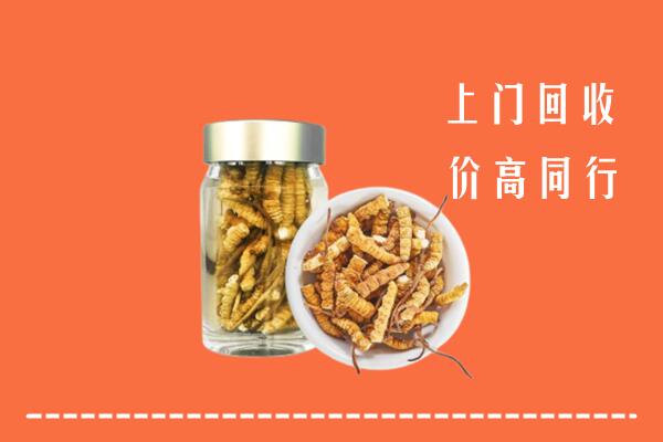 临西县回收冬虫夏草