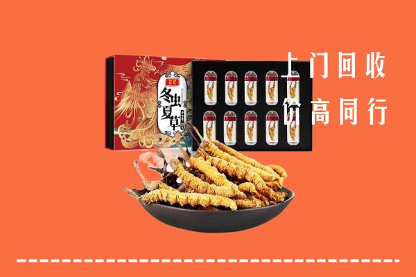 临西县回收虫草